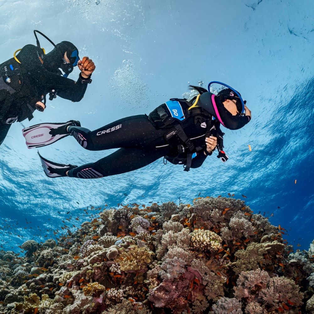 Scuba diver learning with curiosity and focus