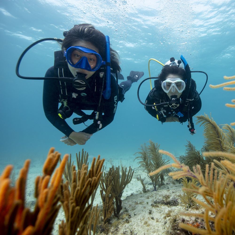 Diver ready for more advanced environments after learning