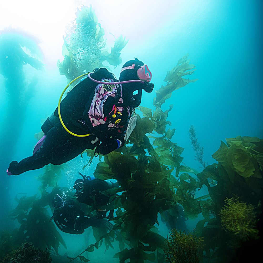 Confident diver in a meaningful dive environment