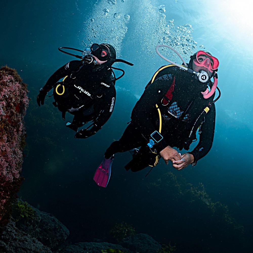 Diver exploring with calm confidence