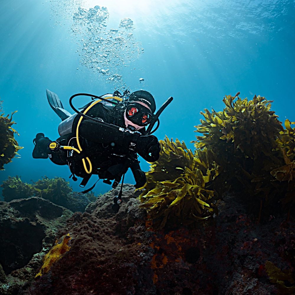 A beautiful underwater environment rewarding preparation
