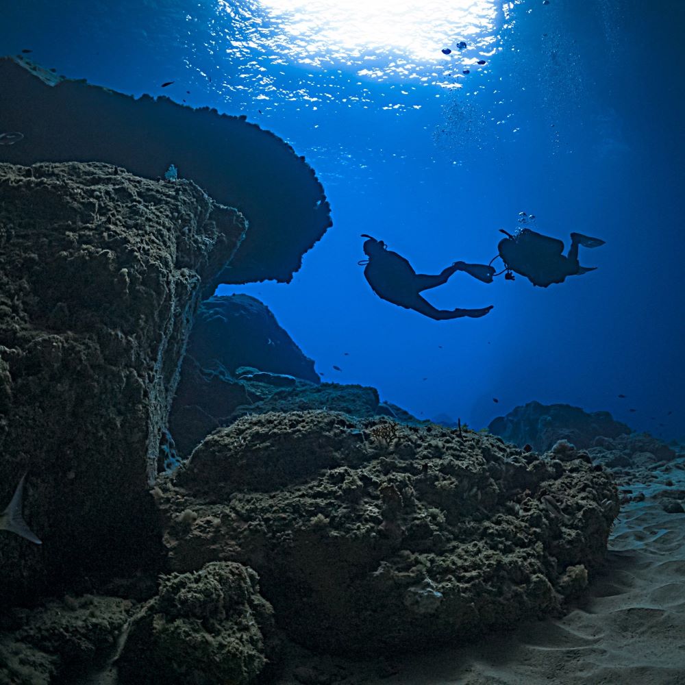 Diver in a destination or advanced environment