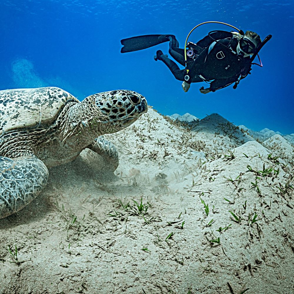 Diver using familiar personal equipment with comfort