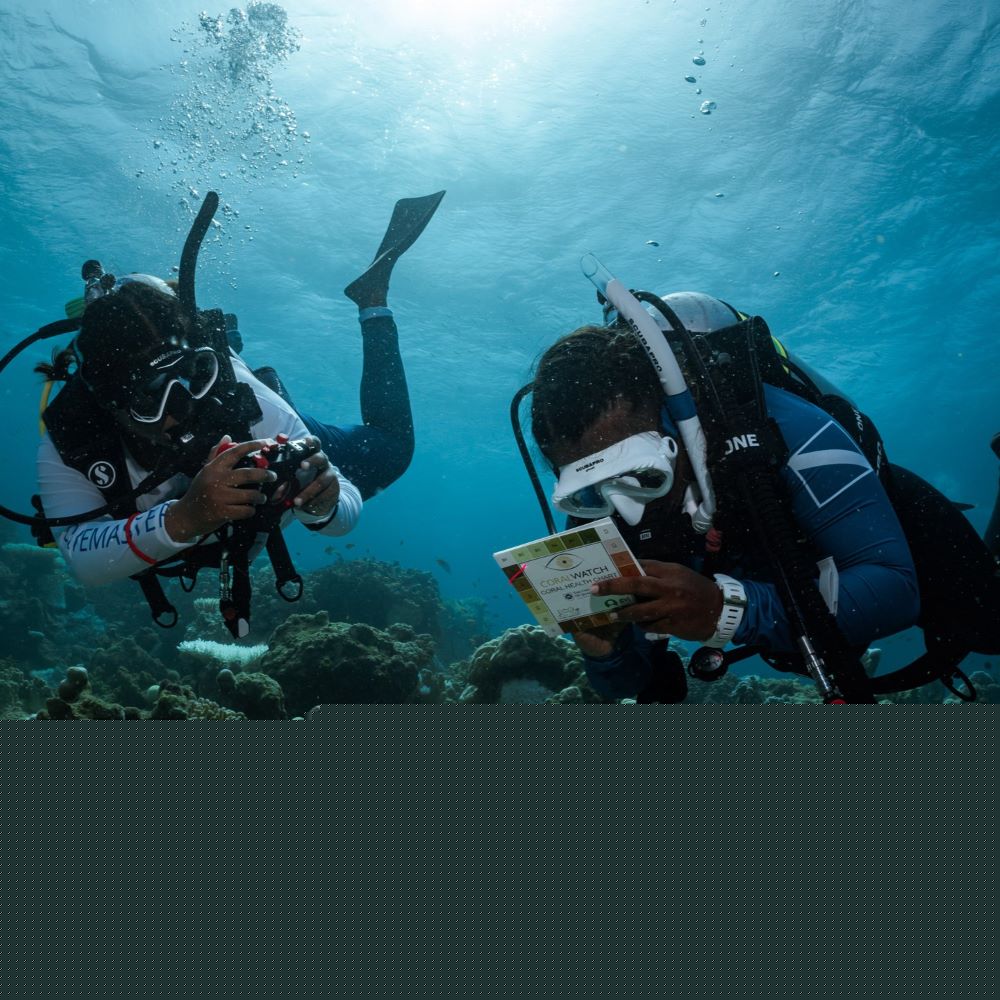 Diver setting up the same personal scuba kit repeatedly