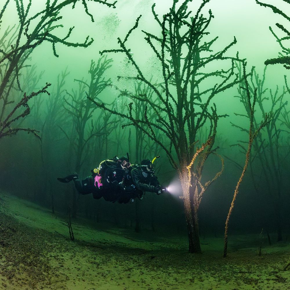 Diver enjoying an easy confident underwater moment