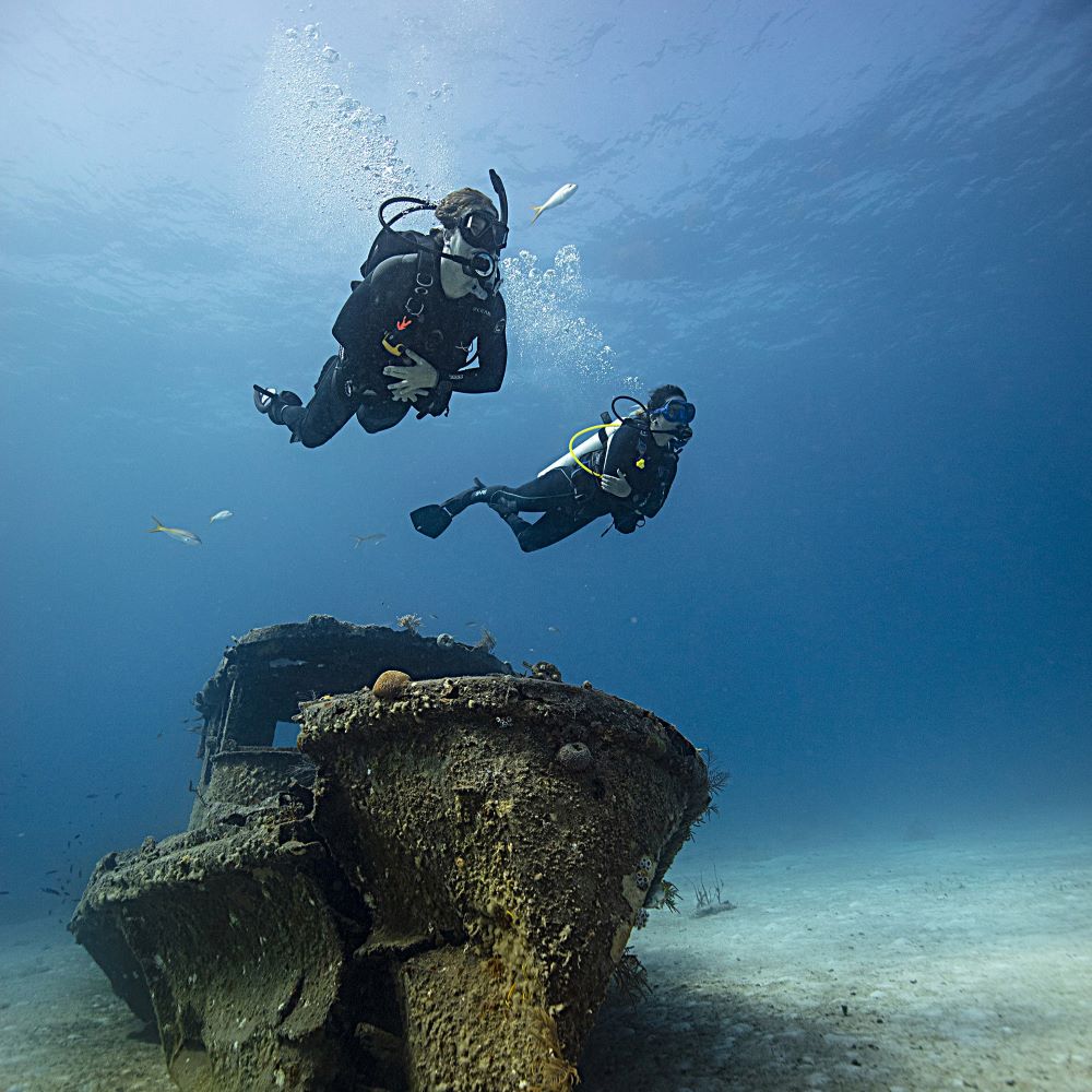 Diver seeing more because they are thinking less about basics