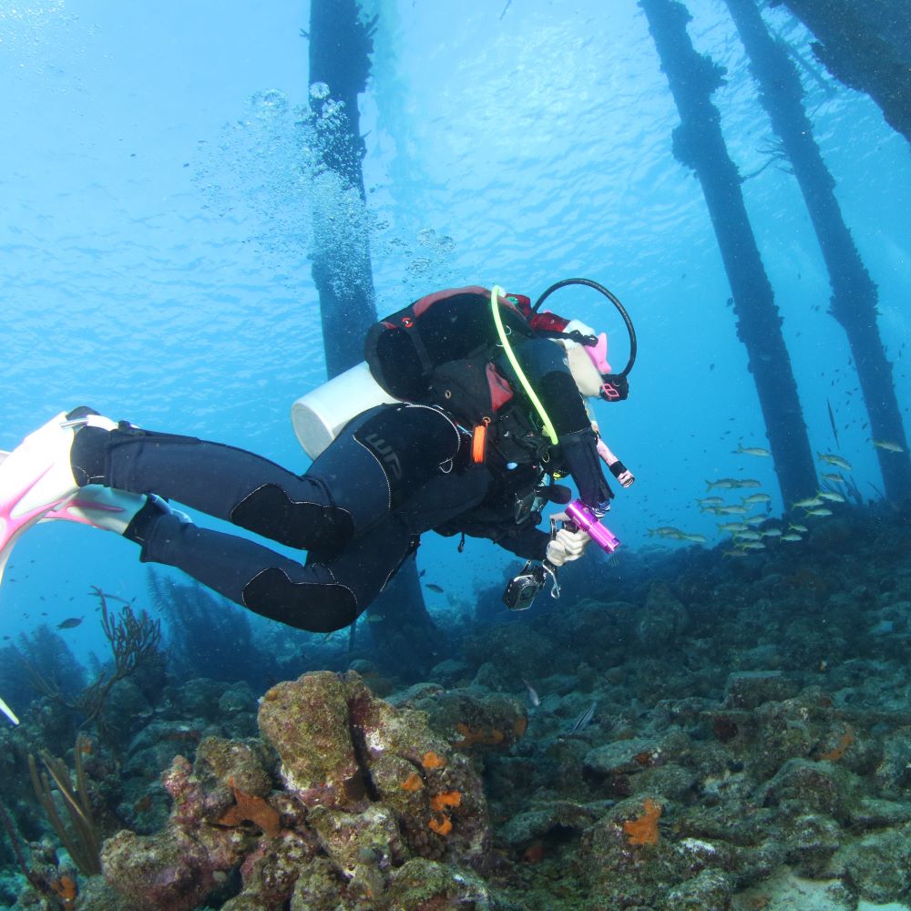 Repeat diving helping a diver improve steadily